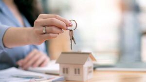 Como acceder al articulo 33 bis