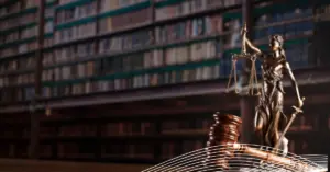 Conoce todos los aspectos de la nueva ley karin